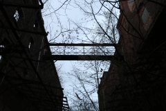 IMG_6436