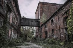 Mühle Hermann Bergmann Magdeburg Exploration Urbex Lost Place