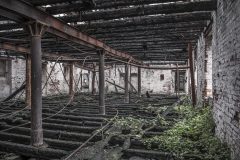 Mühle Hermann Bergmann Magdeburg Exploration Urbex Lost Place