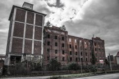 Mühle Hermann Bergmann Magdeburg Exploration Urbex Lost Place