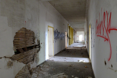 DSCF1184