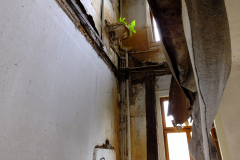 DSCF1202