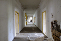 DSCF1219
