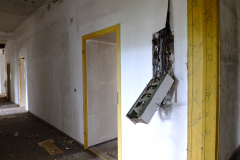 DSCF1249