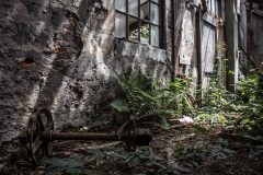 Tonfabrik Ziegelei Nieuwwerklust Leiden Exploration Urbex Lost Place
