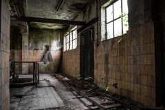Tonfabrik Ziegelei Nieuwwerklust Leiden Exploration Urbex Lost Place