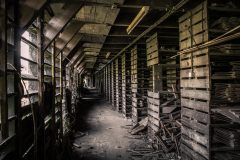 Tonfabrik Ziegelei Nieuwwerklust Leiden Exploration Urbex Lost Place