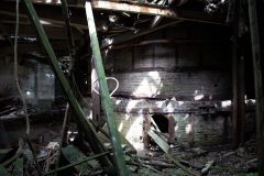 IMG_3925