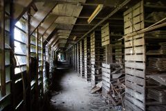 IMG_4003