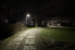 IMG_5288