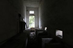 IMG_9456