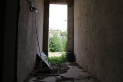 IMG_9459