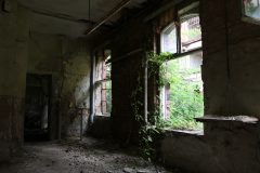 IMG_9486