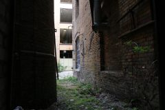 IMG_9496