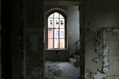IMG_9551