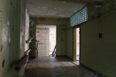 IMG_9556