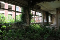 IMG_9572