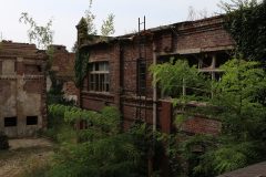 IMG_9579