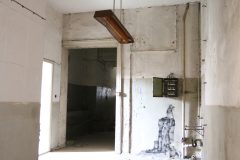 IMG_9581