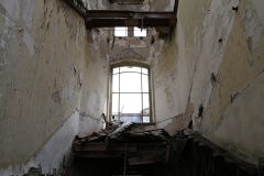IMG_9659