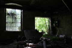 IMG_9675