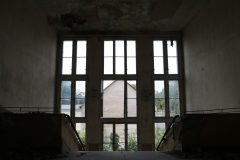 IMG_9686