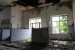 IMG_9706