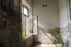 IMG_9713