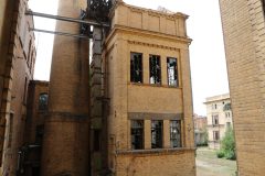 IMG_9718