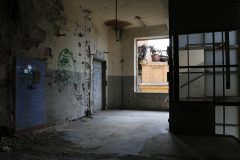 IMG_9725