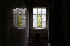 IMG_9730