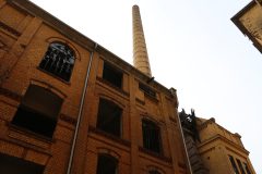 IMG_9755