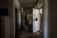 IMG_4115