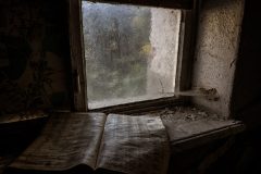 IMG_4134