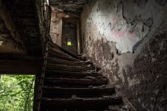 IMG_9155