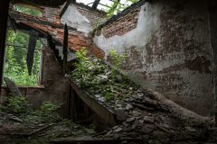 IMG_9171