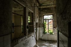 IMG_9190