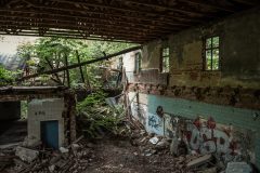 IMG_9193