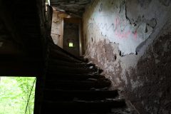 IMG_9155