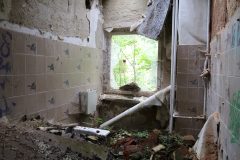 IMG_9176
