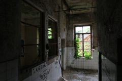 IMG_9190