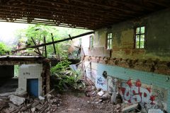 IMG_9194