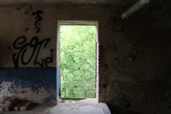 IMG_9195