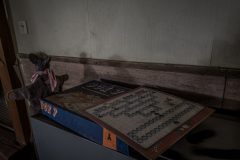 IMG_3607
