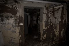 IMG_3610