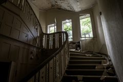 IMG_3617