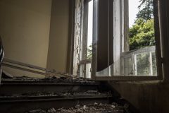 IMG_3629