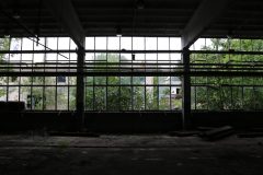 IMG_7901