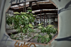 RAW Gotha Reichsbahnausbesserungswerk Eastern Exploration Urbex Lost Place