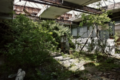 RAW Gotha Reichsbahnausbesserungswerk Eastern Exploration Urbex Lost Place